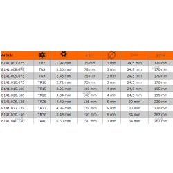 Wkrętak Torx z otworem TR40 x 150 mm FIT B141.040.150 Bahco