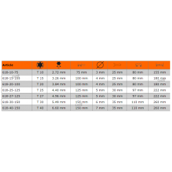 Wkrętak Torx T10 x 75 mm 618-10-75 Bahco