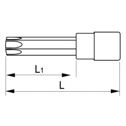 Nasadka 1/2" z wydłużoną końcówką Torx z otworem TR45 T49T45XL IRIMO