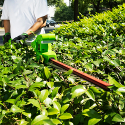 Pilarka i nożyce akumulatorowe na wysięgniku 24V G24PSH body 1303307 GREENWORKS